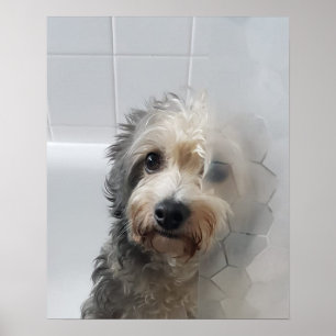 Poster Custa Adorável Terra Ocidental, Terrier Branco Em 