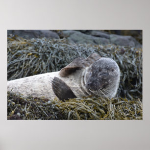 Poster Customize Product