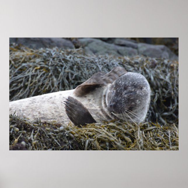 Poster Customize Product (Frente)