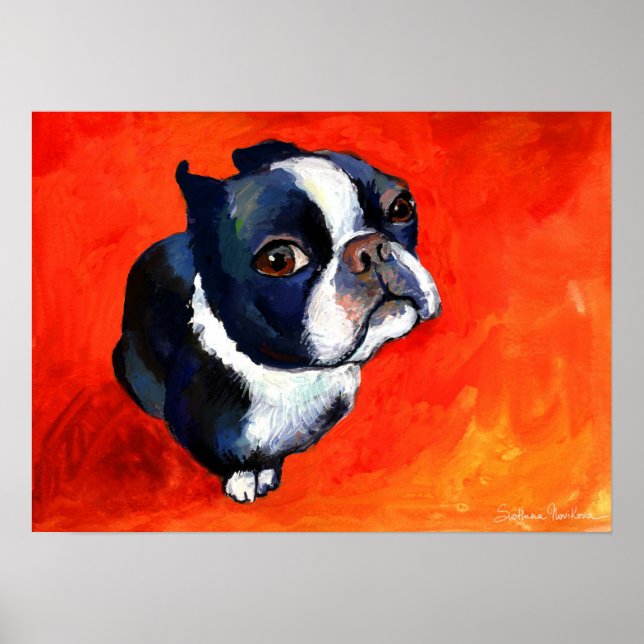 Poster Cute Boston Terrier Dog pintando Svetlana Novikova (Frente)