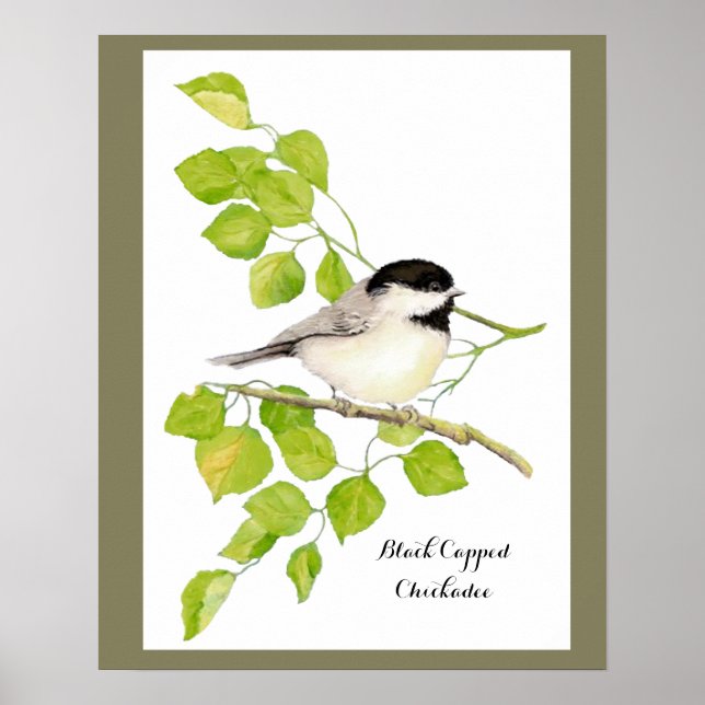 Poster Cute Chickadee Bird in Poplar Tree  Sweet friendly (Frente)