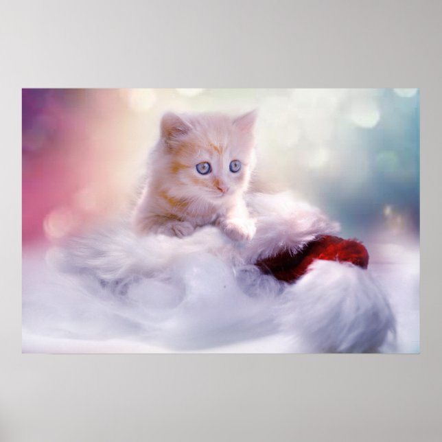 Poster Cute Christmas Kitten Photograph (Frente)