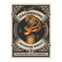 Cute Dachshund Jogando Violino