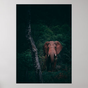 POSTER CUTE ELEPHANT