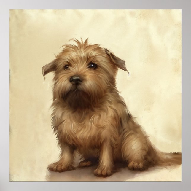 Poster Cute Fluffy Norfolk Terrier Art (Frente)
