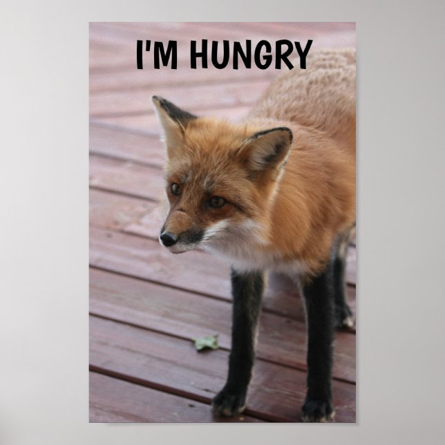 Poster Cute Fox Photo Saying (Frente)