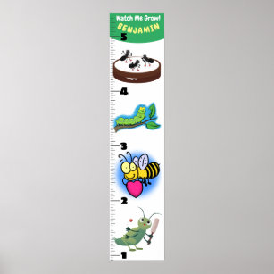 Poster Cute funny insects cartoon growth chart