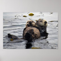 Cute Mom and Pup Sea Otters