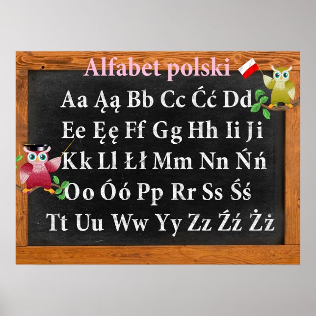 Pôster Cute Professor Owl Polonês Alfabet polski (Frente)
