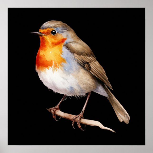 Poster Cute Robin (Frente)