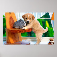 Cutense Animal