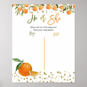 Poster Cutie Orange Citrus gênero revela conselho de vot