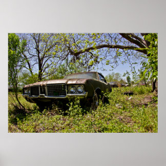 Pôster Cutlass 1972