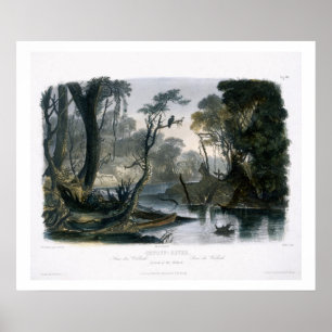 Poster Cutoff River, Branch of the Wabash, plate 8 from V