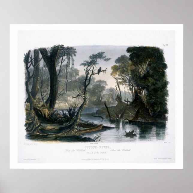 Poster Cutoff River, Branch of the Wabash, plate 8 from V (Frente)