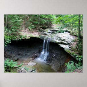 Poster CVNP - Blue Hen 2010