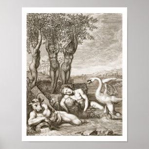 Poster Cygnus transformou-se num cisne e na Irmã de Phaet