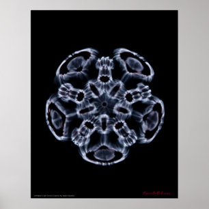 Pôster Cymatics: Nota C da música