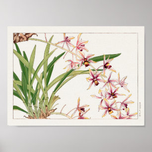 Poster Cymbidium por Tanigami Konan