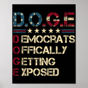 Poster D.o.g. e Departamento de Cães de Eficiência do Gov