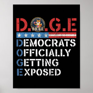 Poster D.o.g.e Doge Departamento De Eficiência Governamen