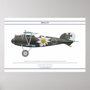 Poster D.V Jasta 16b