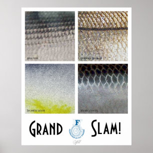 Poster da água salgada do grand slam