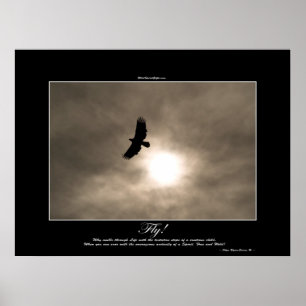 Poster da águia americana & da foto de Sun