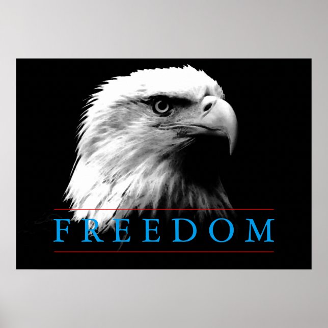 Poster da Águia Americana da Liberdade Branca Negr (Frente)