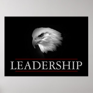 Poster da Águia Sem Corda de Liderança Branca Negr