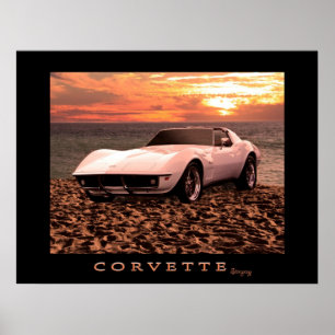 Poster da arraia-lixa de Corveta