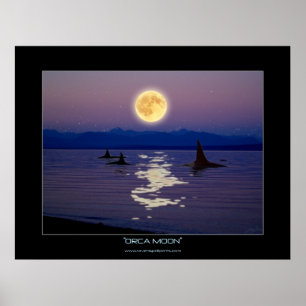 Poster da arte da fantasia da LUA da ORCA