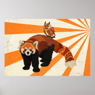 Poster da arte da panda vermelha & da coruja