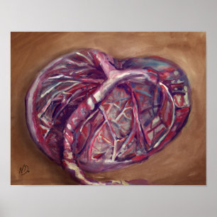 Poster da arte da placenta - escritório da