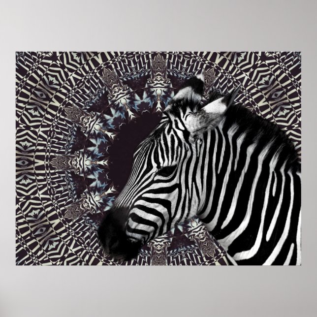 Poster da arte da zebra (Frente)
