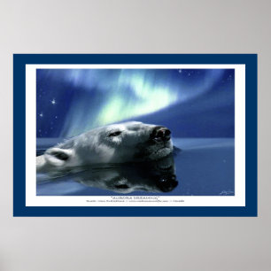 Poster da arte do URSO POLAR & da AURORA