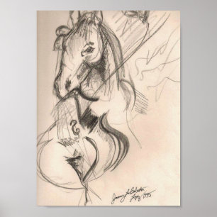 Poster da arte do violoncelo do cavalo