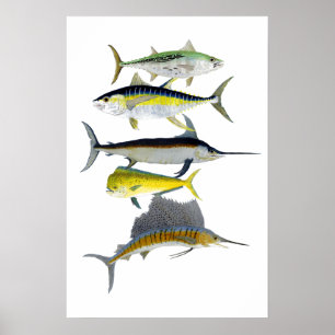 Poster da arte dos Gamefish da água salgada