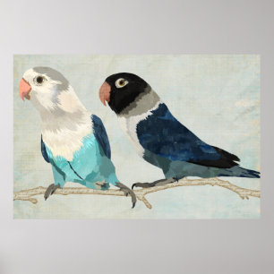 Poster da arte dos PÁSSAROS de ÍNDIGO