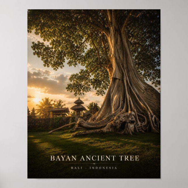 Pôster da Árvore Antiga de Bayan em Bali (Frente)
