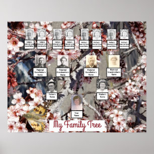 Poster da Árvore da Família de Fotos do Blossomo