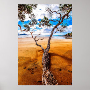 Poster da árvore de Pohutukawa da baía de Sandy