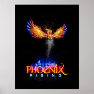 Poster da ascensão de Phoenix