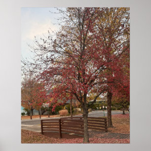Poster da Autumn Walking Bridge