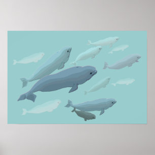 Poster da baleia de Marinelife do impressão da