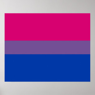 Poster da bandeira do Bisexuality