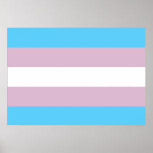 Poster da bandeira do orgulho do Transgender