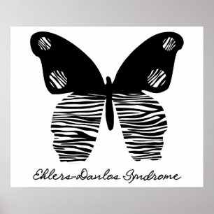 Poster da borboleta 24X20 da listra da zebra do