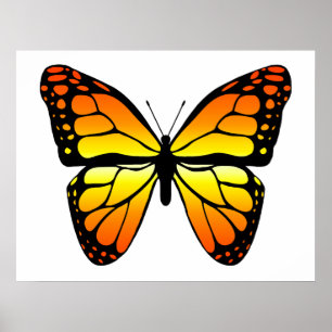Poster da borboleta de monarca