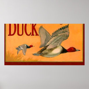 Poster da caça do pato